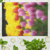 WA, Skagit Valley, Roozengaarde Tulip Garden, 2 Handtuch (Gefaltet)