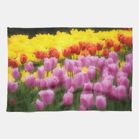 WA, Skagit Valley, Roozengaarde Tulip Garden, 2 Handtuch (Horizontal)