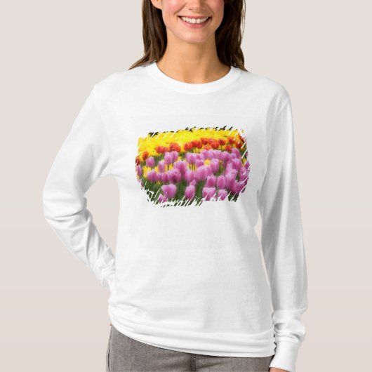 WA, Skagit Valley, Roozengaarde Tulip Garden, 2 T-Shirt (Vorderseite)