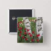 WA, Skagit Valley, Roozengaarde Tulip Garden Button (Vorne & Hinten)