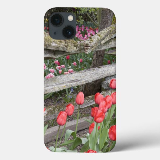 WA, Skagit Valley, Roozengaarde Tulip Garden, Case-Mate iPhone Hülle (Rückseite)