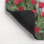 WA, Skagit Valley, Roozengaarde Tulip Garden Mousepad (Ecke)