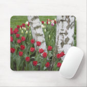 WA, Skagit Valley, Roozengaarde Tulip Garden Mousepad (Mit Mouse)