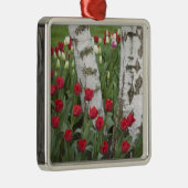 WA, Skagit Valley, Roozengaarde Tulip Garden Ornament Aus Metall (Rechts)