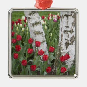 WA, Skagit Valley, Roozengaarde Tulip Garden Ornament Aus Metall