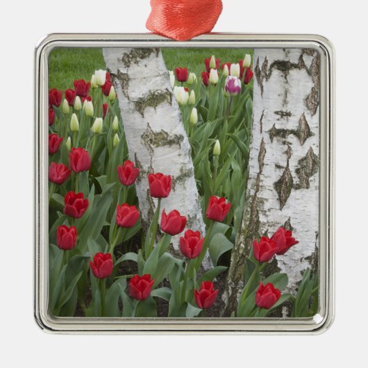 WA, Skagit Valley, Roozengaarde Tulip Garden Ornament Aus Metall (Vorne)