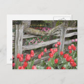 WA, Skagit Valley, Roozengaarde Tulip Garden, Postkarte (Vorne/Hinten)