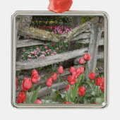 WA, Skagit Valley, Roozengaarde Tulip Garden, Silbernes Ornament (Vorne)