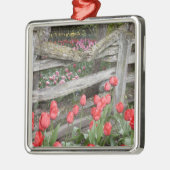 WA, Skagit Valley, Roozengaarde Tulip Garden, Silbernes Ornament (Links)