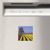 WA, Skagit Valley, Skagit Valley Tulip 2 Magnet (In Situ (Geschirrspüler))