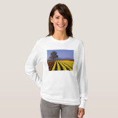 WA, Skagit Valley, Skagit Valley Tulip 2 T-Shirt (Vorne ganz)