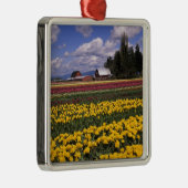 WA, Skagit Valley, Skagit Valley Tulip Silbernes Ornament (Rechts)