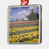 WA, Skagit Valley, Skagit Valley Tulip Silbernes Ornament (Links)