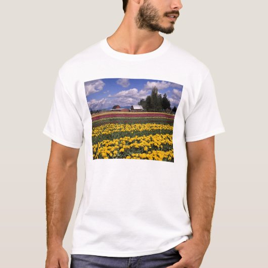 WA, Skagit Valley, Skagit Valley Tulip T-Shirt (Vorderseite)