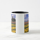 WA, Skagit Valley, Skagit Valley Tulip Tasse (Zentrum)