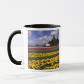 WA, Skagit Valley, Skagit Valley Tulip Tasse (Links)
