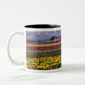 WA, Skagit Valley, Skagit Valley Tulip Zweifarbige Tasse (Links)
