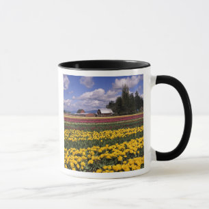 WA, Skagit Valley, Skagit Valley Tulpe Tasse
