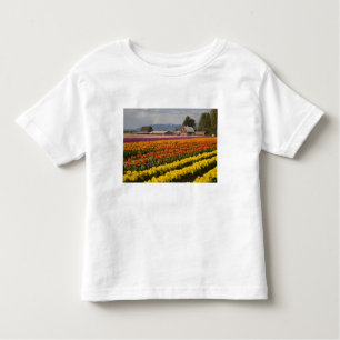 WA, Skagit Valley, Tulip Felder in Blüte, at Kleinkind T-shirt