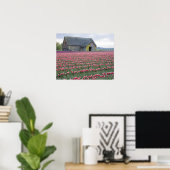 WA, Skagit Valley, Tulip Field und Barn Poster (Heimbüro)