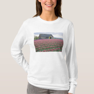 WA, Skagit Valley, Tulip Field und Barn T-Shirt