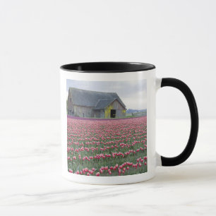WA, Skagit Valley, Tulip Field und Barn Tasse