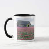 WA, Skagit Valley, Tulip Field und Barn Tasse (Links)
