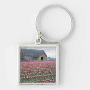 WA, Skagit Valley, Tulpenfeld und Scheune Schlüsselanhänger