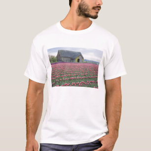 WA, Skagit Valley, Tulpenfeld und Scheune T-Shirt