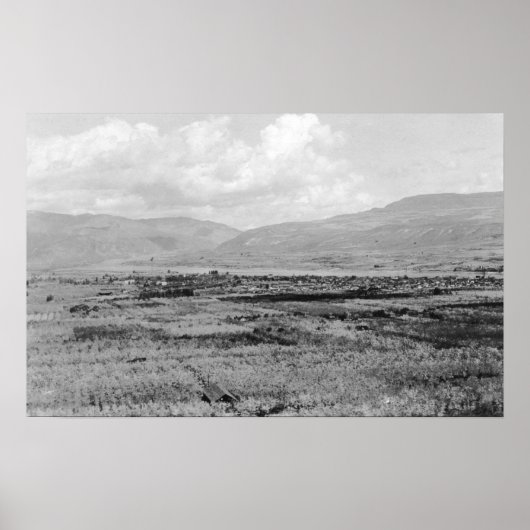 WA Town View und Orchard Fotograf Poster (Vorne)