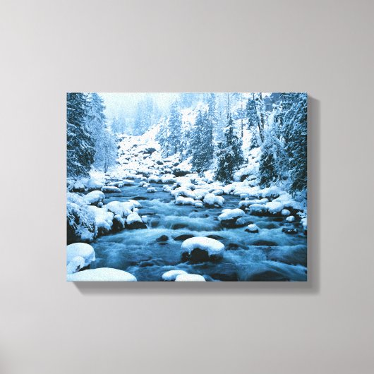 WA, Watchee National Forest, Kaskade Leinwanddruck (Vorderseite)