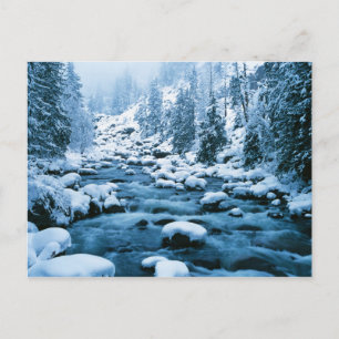 WA, Watchee National Forest, Kaskade Postkarte