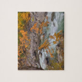 WA, Wenatchee National Forest, Ahornbaum und Puzzle (Vertikal)