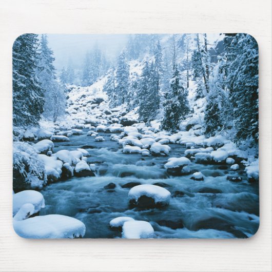 WA, Wenatchee National Forest, Cascade Mousepad (Vorne)