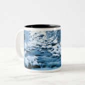 WA, Wenatchee National Forest, Cascade Zweifarbige Tasse (Vorderseite Links)