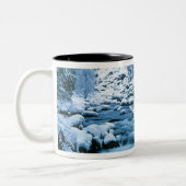 WA, Wenatchee National Forest, Cascade Zweifarbige Tasse (Links)