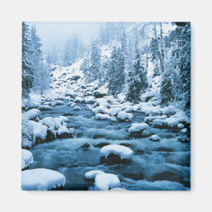 WA, Wenatchee National Forest, Kaskade Magnet