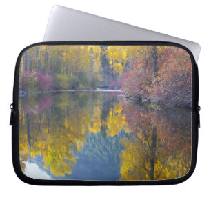 WA, Wenatchee National Forest, Whitepine Creek, Laptopschutzhülle