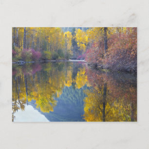 WA, Wenatchee National Forest, Whitepine Creek, Postkarte