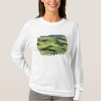 WA, Whitman County, Palouse-Ackerland, Blick