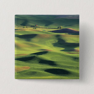 WA, Whitman Landkreis, Palouse Farmland, Ansicht Button