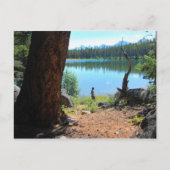 Wabasso Postkarte (Vorderseite)