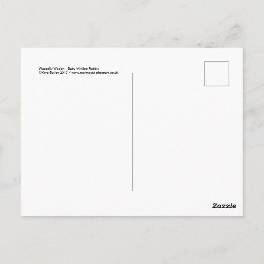 Wabbit Postkarte (Rückseite)