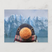 Wabbles Postkarte (Vorderseite)