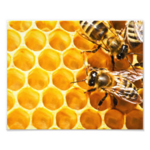 Waben- und Bienenmuster-Design Fotodruck