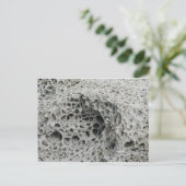 Wabenwetter Postkarte (Stehend Vorderseite)