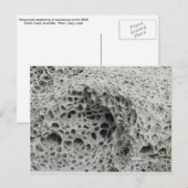 Wabenwetter Postkarte (Vorne/Hinten)