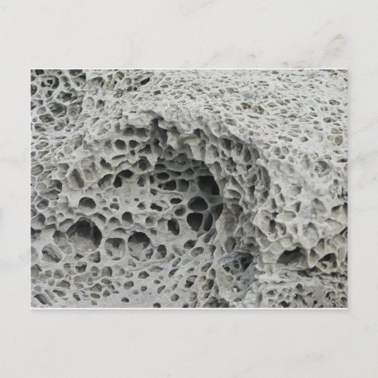 Wabenwetter Postkarte (Vorderseite)