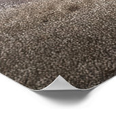 Wabi-Sabi Art Poster (Ecke)