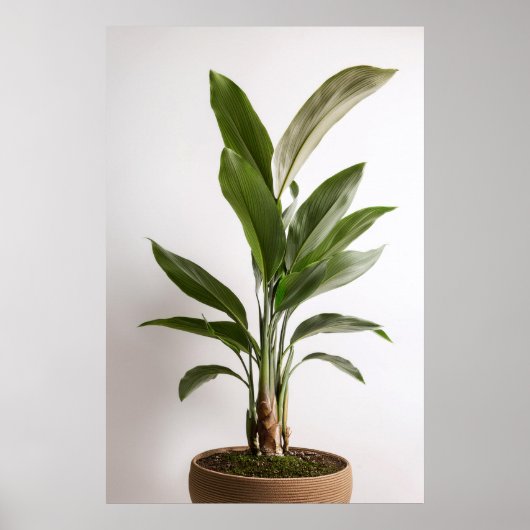 Wabi-Sabi Art Poster (Vorne)